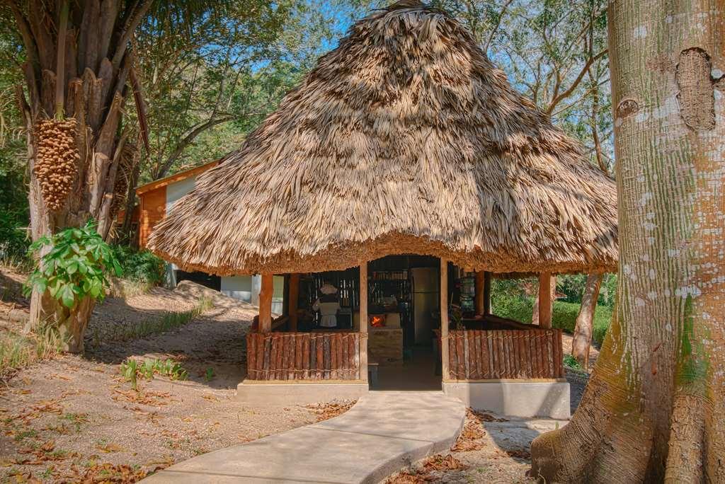 The Lodge At Chaacreek San Ignacio Oda fotoğraf