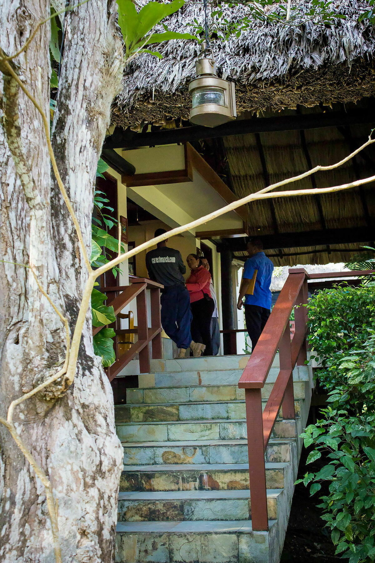 The Lodge At Chaacreek San Ignacio Dış mekan fotoğraf